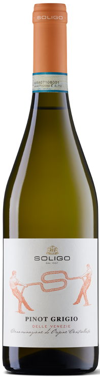 Soligo Pinot Grigio DOC 0